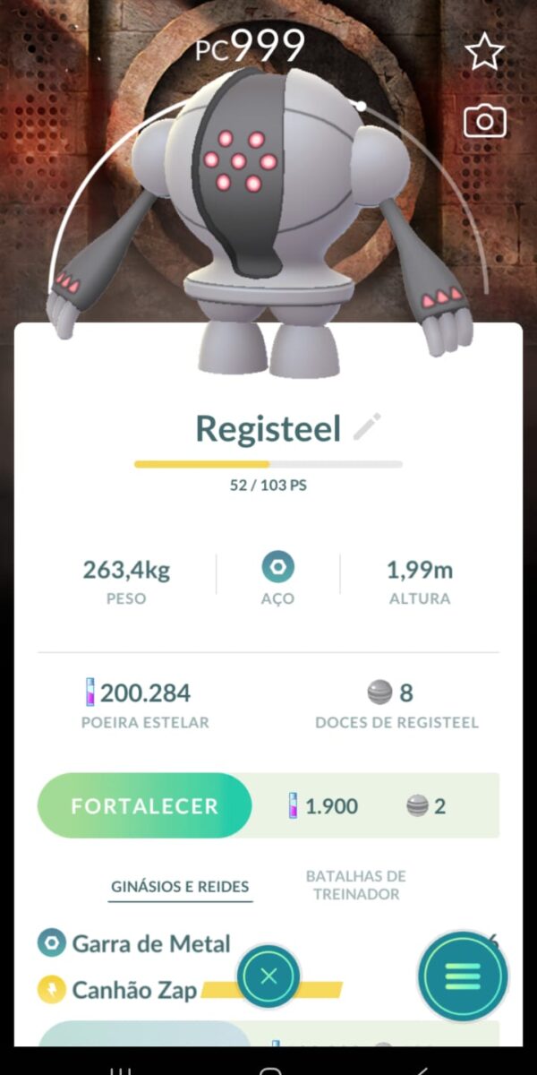 Registeel Fundo Especial