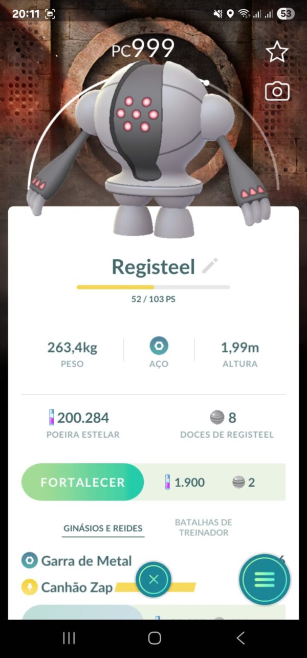 Registeel Fundo Especial