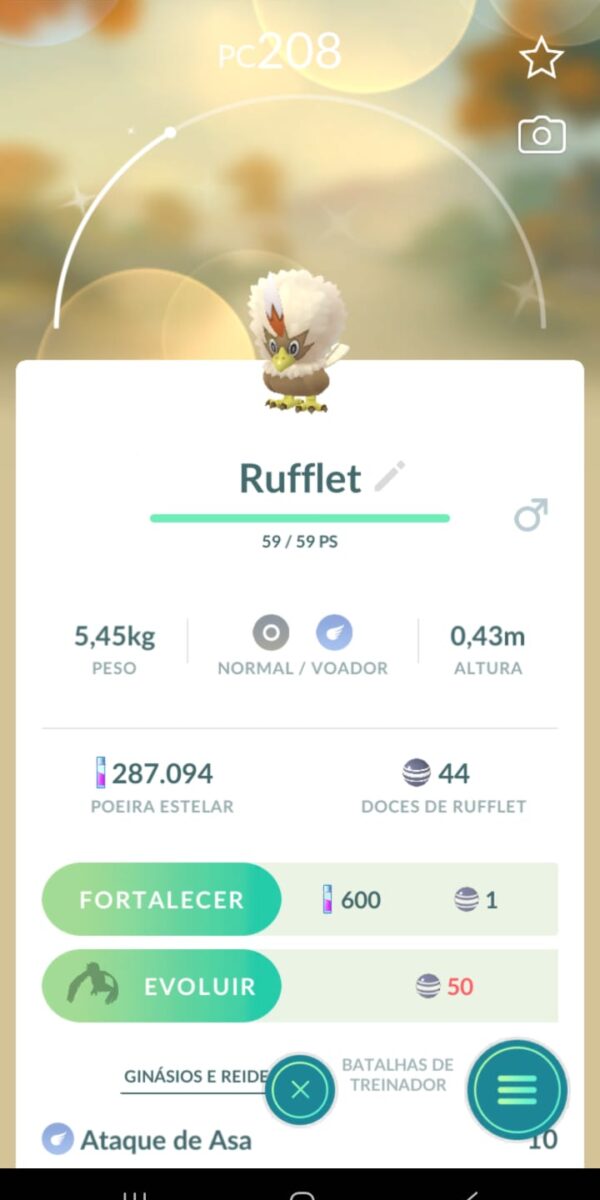 Rufflet Shiny