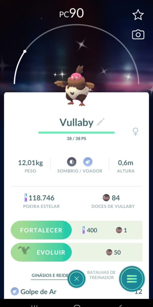 Vullaby Shiny