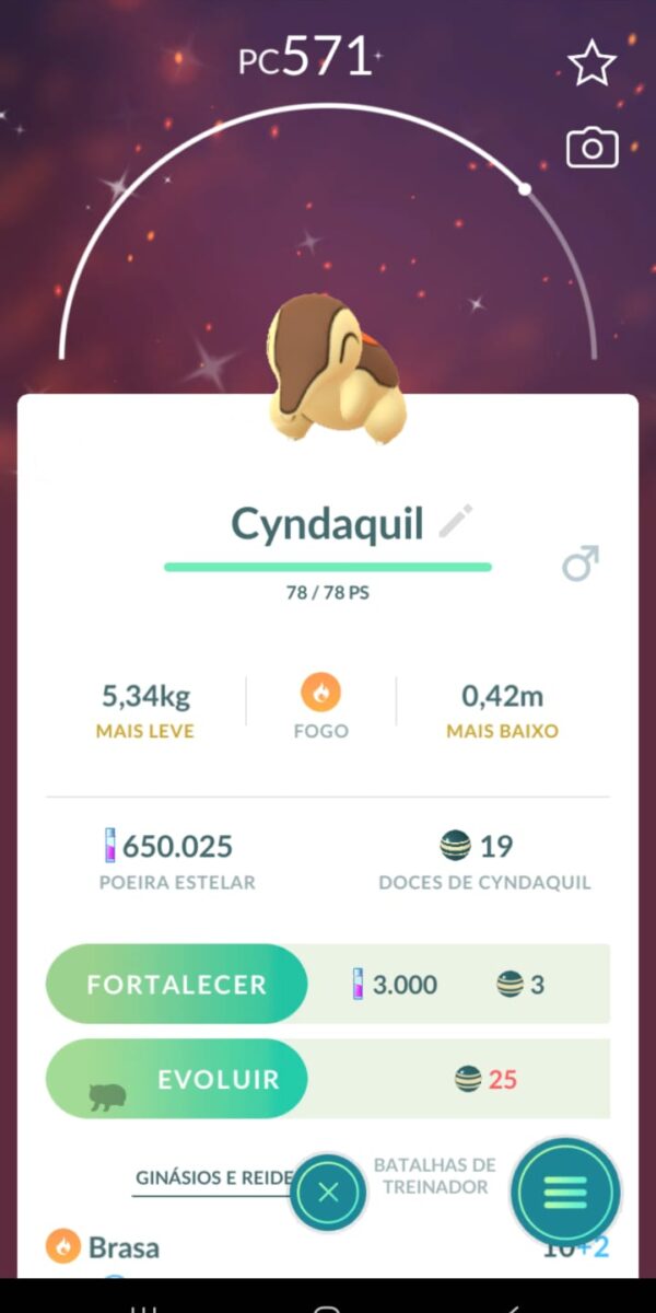 Cyndaquill Shiny