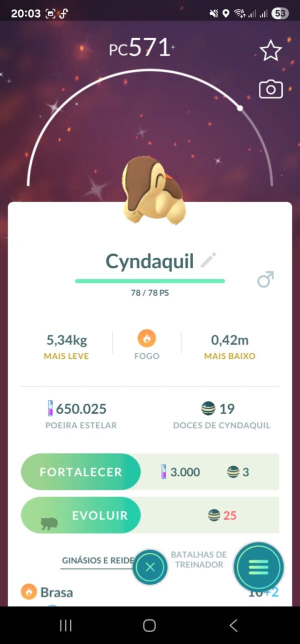 Cyndaquill Shiny