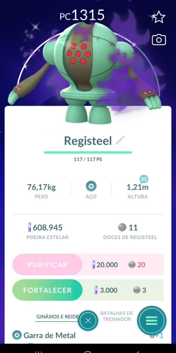 Registeel Shiny Shadow