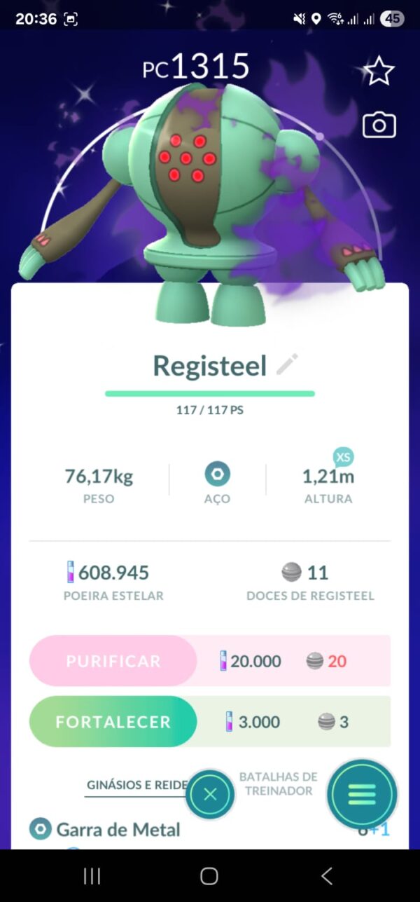 Registeel Shiny Shadow