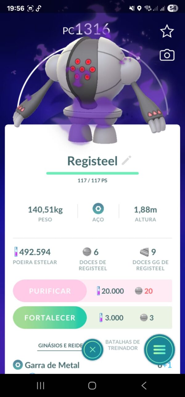 Registeel Shadow