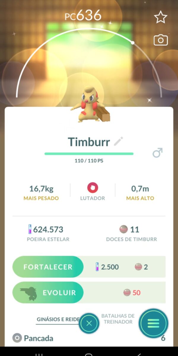 Timburr Shiny