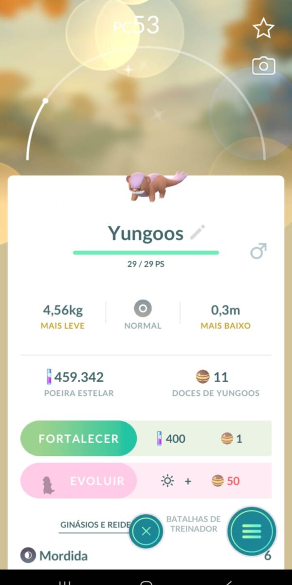 Yungoos Shiny