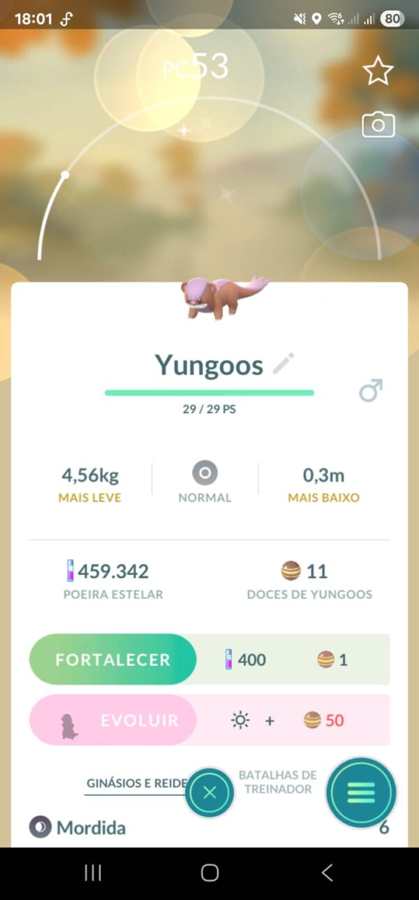 Yungoos Shiny