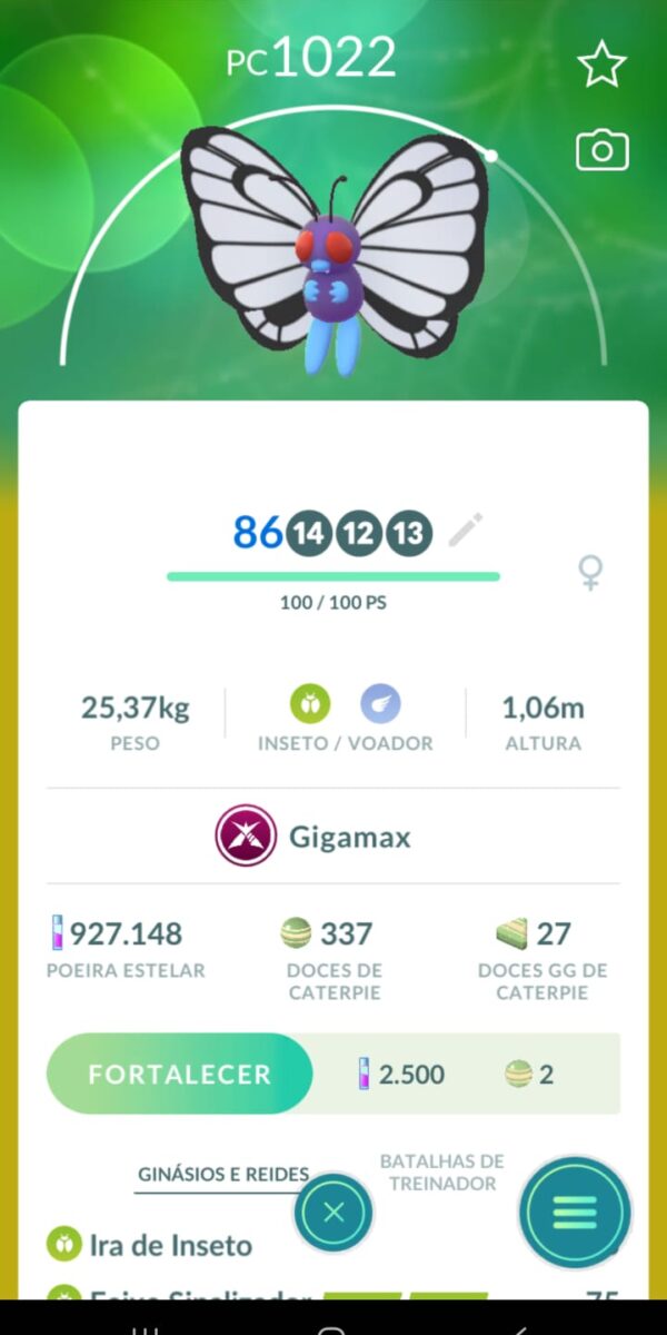 Butterfree Gigamax
