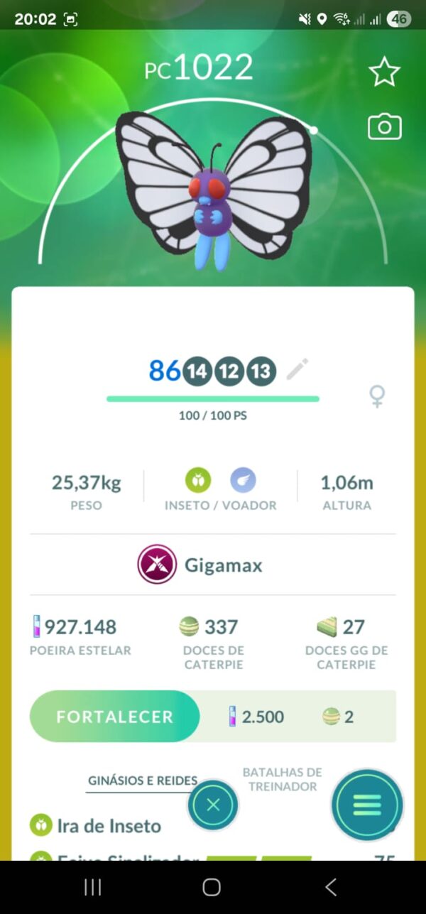 Butterfree Gigamax